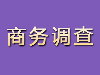 宿城商务调查